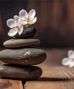 Flowers On Zen Stones Diamond Painting