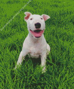 White Bull Terrier Diamond Painting