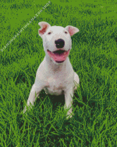 White Bull Terrier Diamond Painting