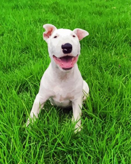 White Bull Terrier Diamond Painting