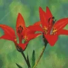 Wood Lily Diamond Painting