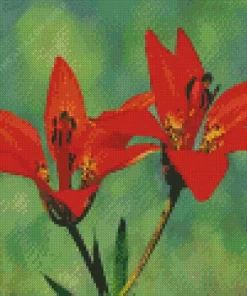 Wood Lily Diamond Painting