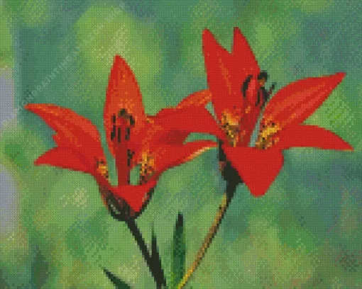 Wood Lily Diamond Painting