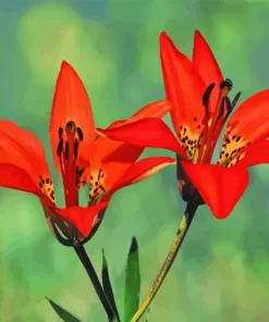 Wood Lily Diamond Painting