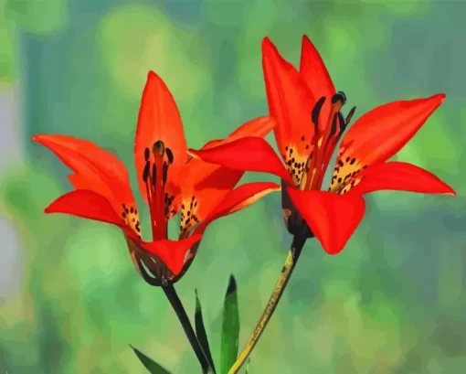 Wood Lily Diamond Painting