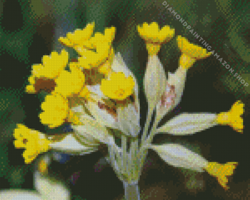 Cowslip Diamond Painting