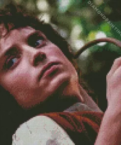 Frodo Baggins Diamond Painting