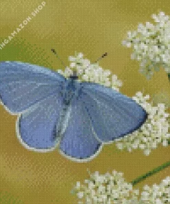 Holly Blue Butterfly Diamond Painting