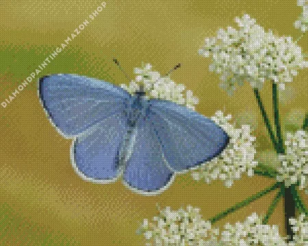 Holly Blue Butterfly Diamond Painting