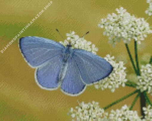 Holly Blue Butterfly Diamond Painting