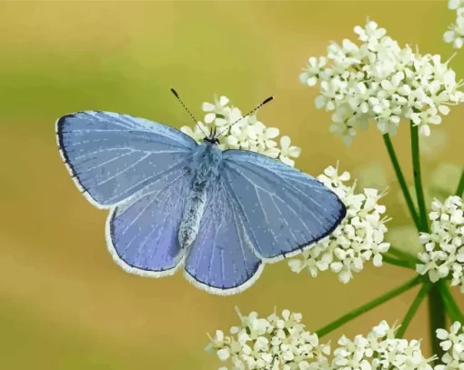 Holly Blue Butterfly Diamond Painting