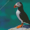 Puffin Animal Diamond Painting