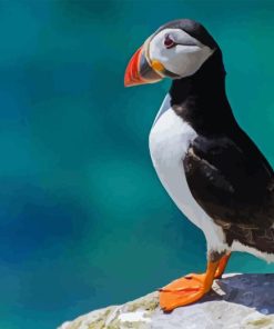 Puffin Animal Diamond Painting