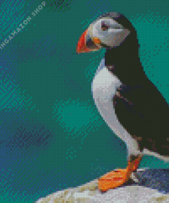 Puffin Animal Diamond Painting