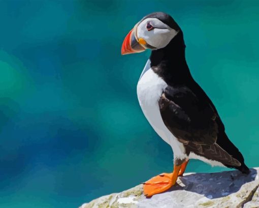 Puffin Animal Diamond Painting