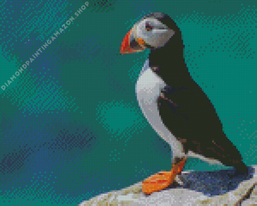 Puffin Animal Diamond Painting