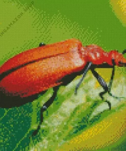 Lily Beetle Diamond Painting