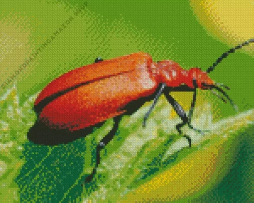 Lily Beetle Diamond Painting