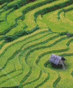 Rice Field Diamond Painting