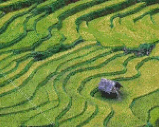 Rice Field Diamond Painting