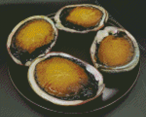 Abalone Diamond Painting