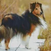 Shetland Sheepdog Dog Diamond Painting