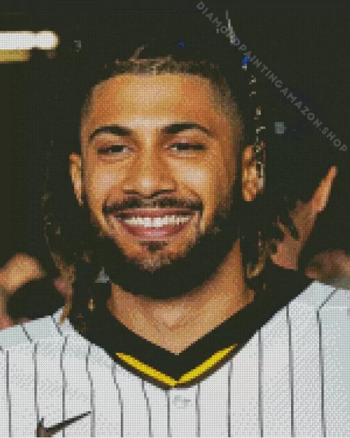 Fernando Tatis Jr Diamond Painting