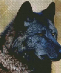 Black Wolf Diamond Painting