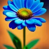 Daisy Felicia Amelloides Diamond Painting