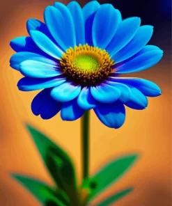 Daisy Felicia Amelloides Diamond Painting