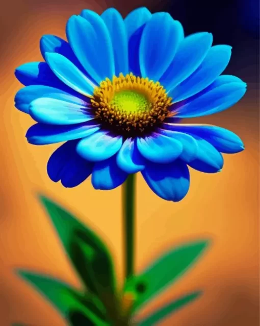 Daisy Felicia Amelloides Diamond Painting