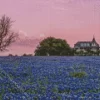 Bluebonnet Field Diamond Painting