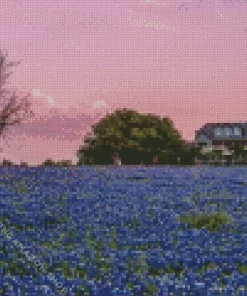 Bluebonnet Field Diamond Painting