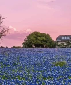 Bluebonnet Field Diamond Painting