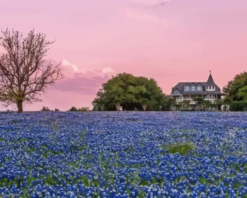 Bluebonnet Field Diamond Painting