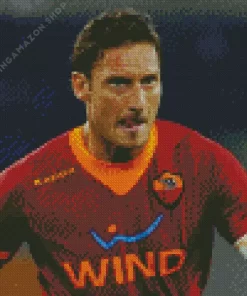 Cool Francesco Totti Diamond Painting