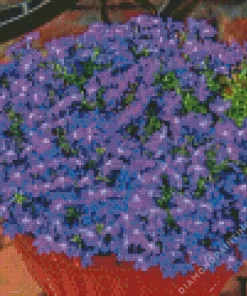 Lobelia Diamond Painting