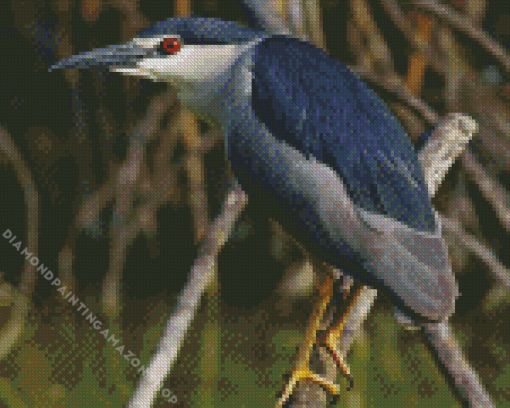 Night Heron Diamond Painting