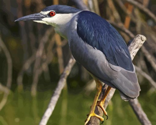 Night Heron Diamond Painting