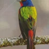 Painted Bunting Diamond Painting