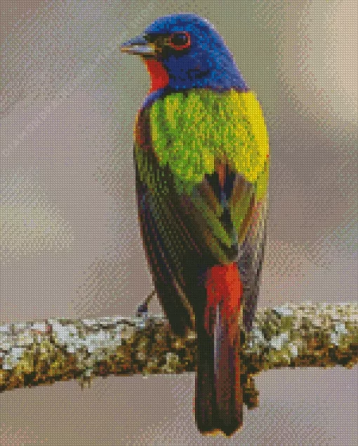 Painted Bunting Diamond Painting