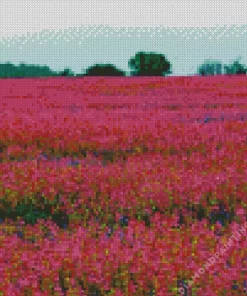 Amazing Pink Field Diamond Painting