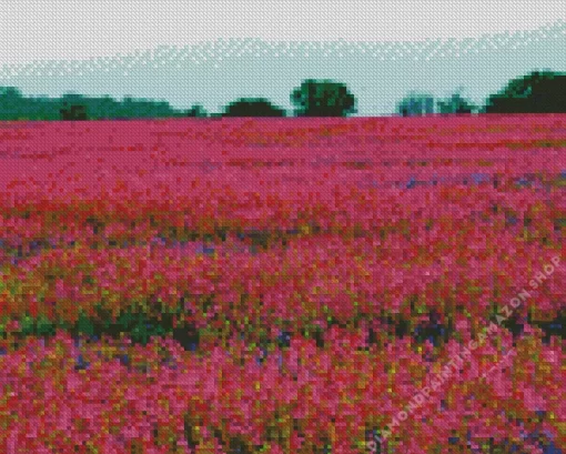 Amazing Pink Field Diamond Painting