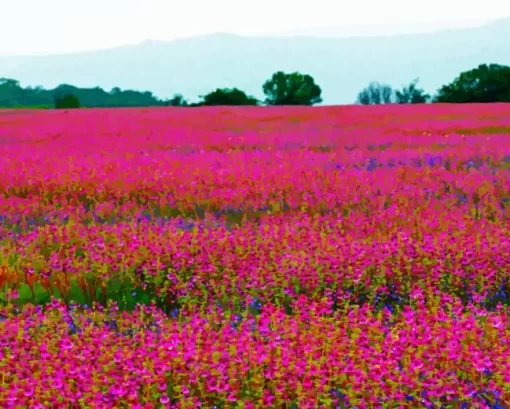 Amazing Pink Field Diamond Painting