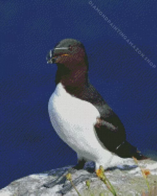 Razorbill Bird Diamond Painting