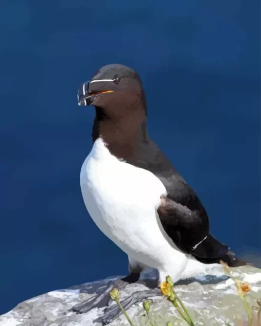 Razorbill Bird Diamond Painting