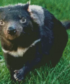 Tasmanian Devil Diamond Painting