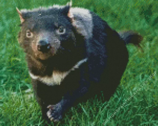 Tasmanian Devil Diamond Painting