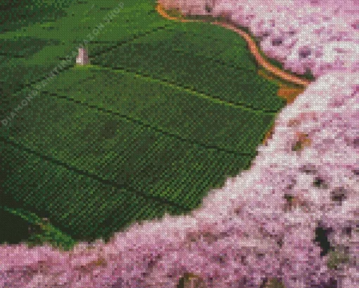 Tea Field Diamond Painting