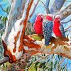 Galah Cockatoo Diamond Painting